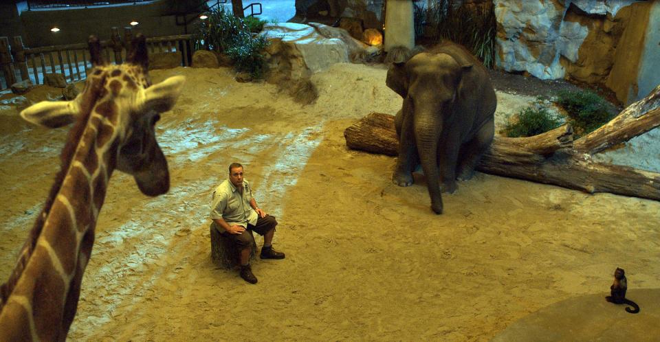 ZOOKEEPER, Kevin James, 2011 (center). ©Sony Pictures/courtesy Everett Collection