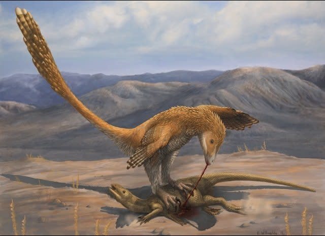 Dromaeosaurids were feathered carnivores that lived in the Cretaceous Period.