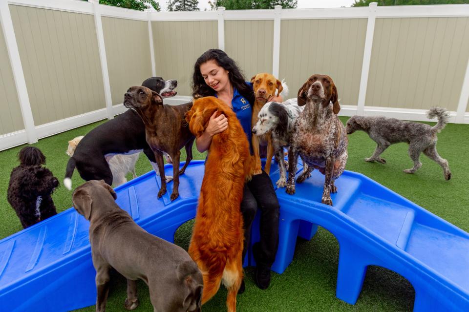K9 Resorts Luxury Pet Hotel also offers full or half-day "doggie daycare" sessions.