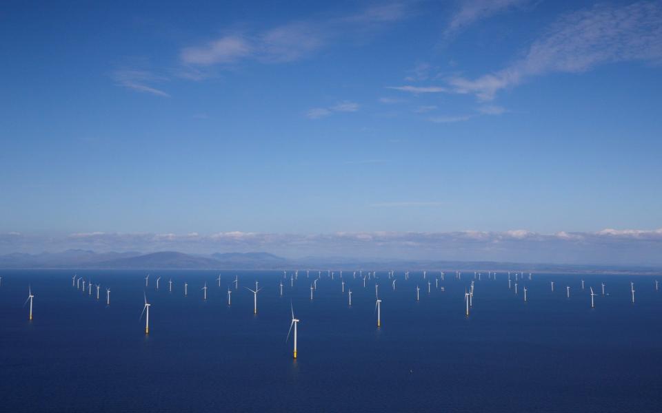 The Walney Extension offshore wind farm off the coast of Blackpool - REUTERS/Phil Noble