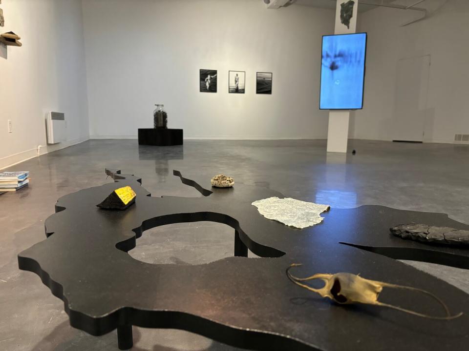 Daze Jefferies and B.G. Osborne's 'Transient Maternal' exhibit features a wide range of artistic practices from collage to video installations to structural pieces.