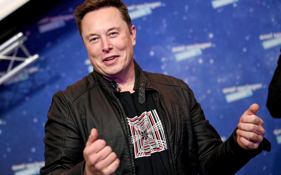 Elon Musk - Britta Pedersen-Pool/Getty Images