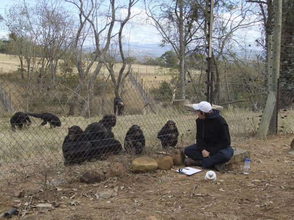 This undated photo provided by the Facebook group HelpAndrewOberle shows graduate student Andrew Oberle observing chimps. Doctors are reporting improvement in the condition of Oberle, who was attacked by chimps he was studying in South Africa. (AP Photo/HelpAndrewOberle)