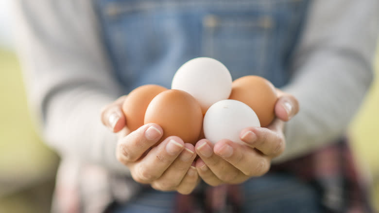 hands holding eggs