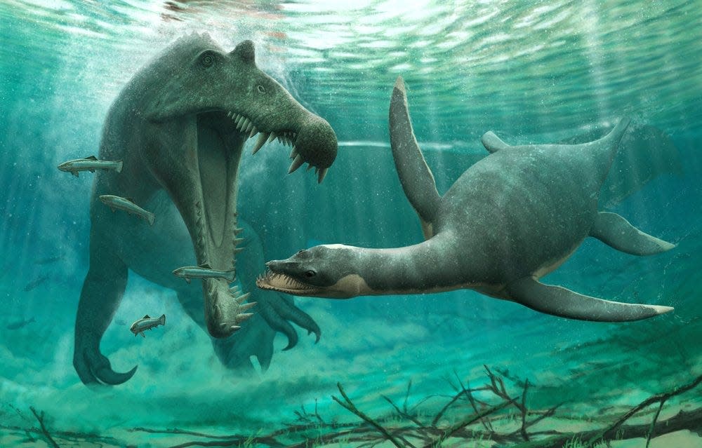 An illustration of a small leptocleidid plesiosaur (right) in the Kem Kem and the aquatic dinosaur Spinosaurus (left) as they may have appeared in the Kem Kem beds of Morocco.