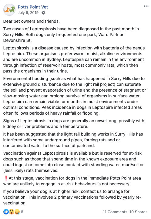 Potts Point Vet issued a warning on the Leptospirosis threat. Image: Facebook