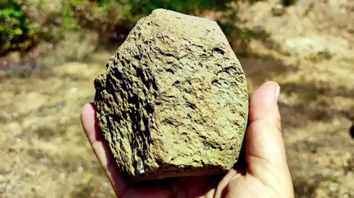 Close-up view of a stone tool. Stone tools from the archaeological site Korolevo in western Ukraine. Photo: Roman Harba