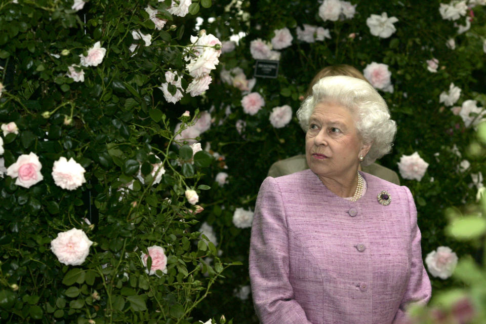 The Queen admires some roses at the Chelsea Flower Show in 2008. (Getty Images)