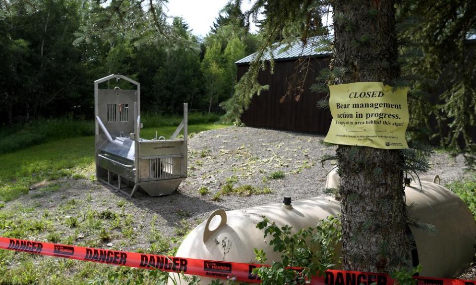 A bear trap set by Montana Fish, Wildlife and Parks in the camping area in Ovando, Montana.