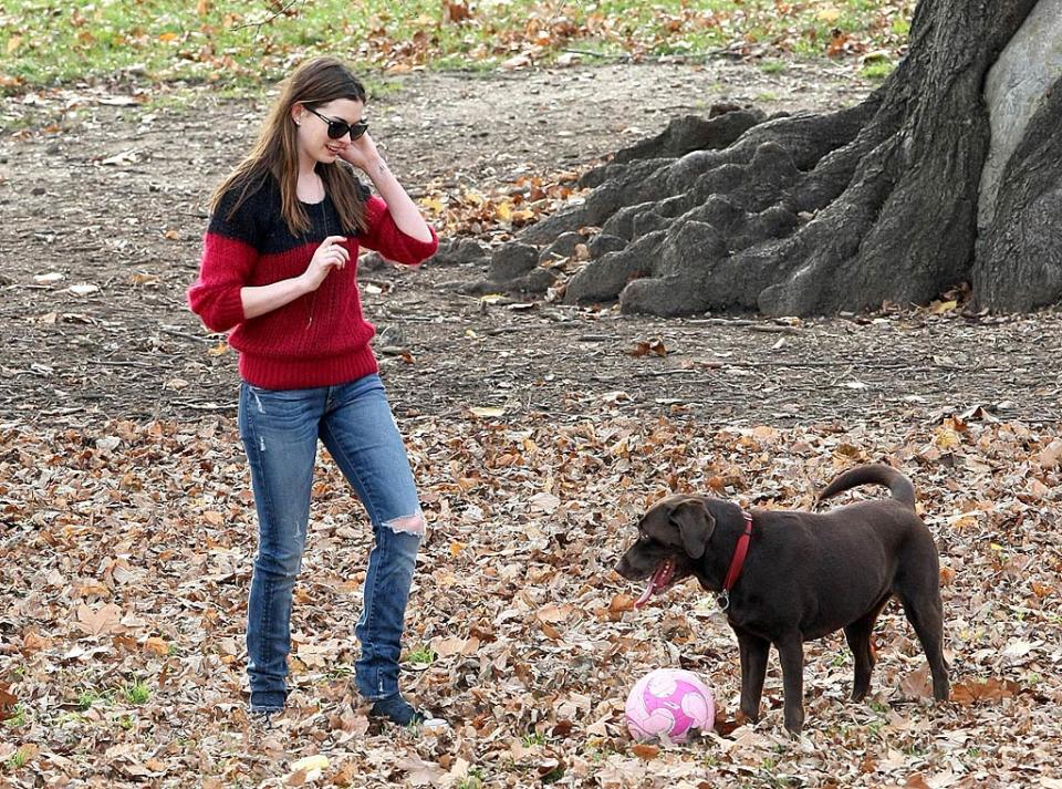 Anne Hathaway Fort GreenP Ark