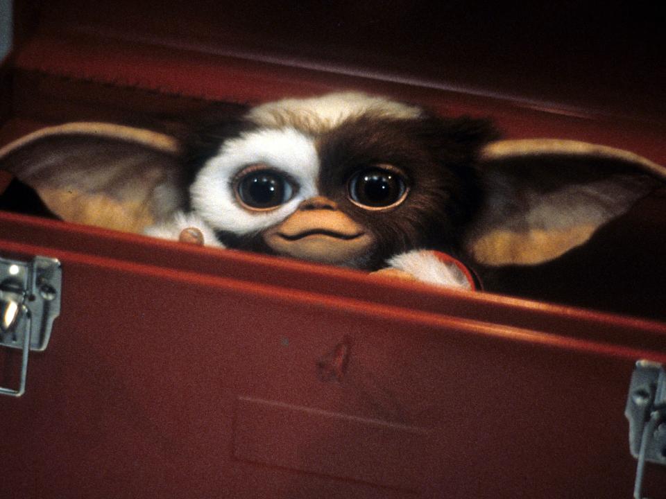 Gizmo in the 1984 film "Gremlins."