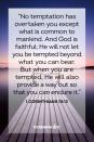 <p>"No temptation has overtaken you except what is common to mankind. And God is faithful; He will not let you be tempted beyond what you can bear. But when you are tempted, He will also provide a way out so that you can endure it." — 1 Corinthians 10:13</p><p><strong>The Good News:</strong> God will guide you through the darkest times, and will foster your faith to get through the struggles that seem impossible to overcome.</p>