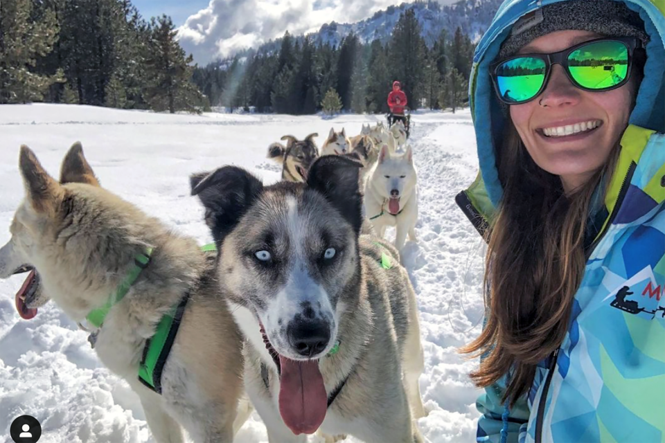 Picture of sled dog team outside in snow