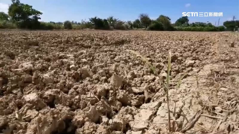  王美花表示，去年自5月22日梅雨過後迄今360日來無顯著降雨，水情為史上最嚴峻。（示意圖／資料照）