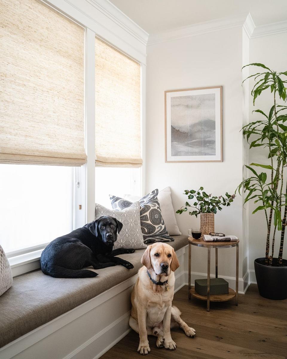 window seat ideas dogs