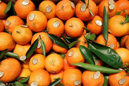 Clementines are displayed at the fruits and vegetables pavilion in the Rungis International wholesale food market as buyers prepare for the Christmas holiday season in Rungis, south of Paris, France, November 30, 2017. Picture taken November 30, 2017. REUTERS/Benoit Tessier