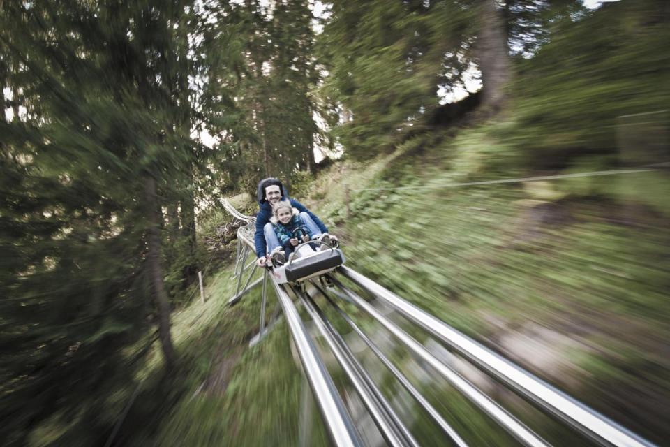 The Fforest ride is the UK's only alpine coaster (Ivan Purcell)