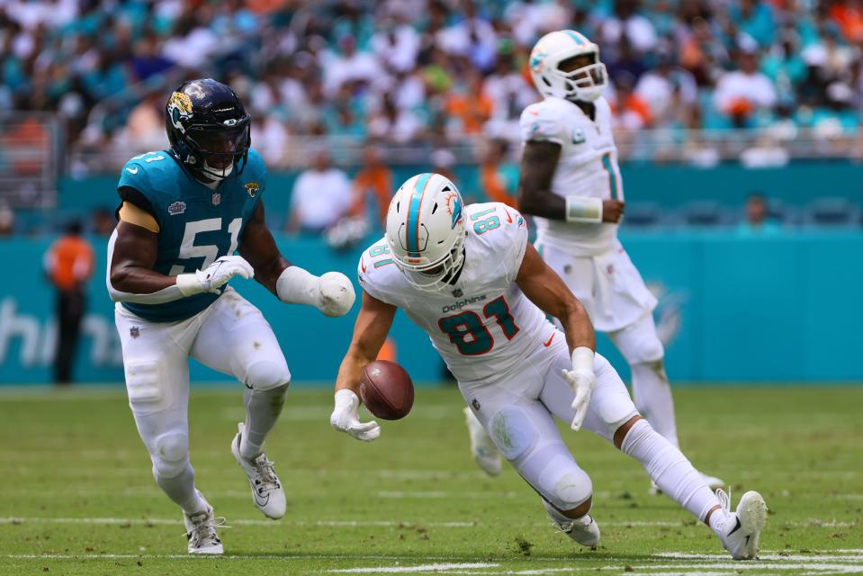 Sep 8, 2024; Miami Gardens, Florida, USA; Miami Dolphins tight end Durham Smythe (81) drops the football against the Jacksonville Jaguars during the second quarter at Hard Rock Stadium. Mandatory Credit: Sam Navarro-Imagn Images