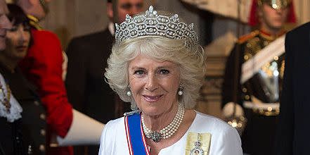 london, england   may 18  camilla, duchess of cornwall arrives at the state opening of parliament on may 18, 2016 in london, england the state opening of parliament is the formal start of the parliamentary year this years queens speech, setting out the governments agenda for the coming session, is expected to outline policy on prison reform, tuition fee rises and reveal the potential site of a uk spaceport photo by eddie mulholland   wpa poolgetty images