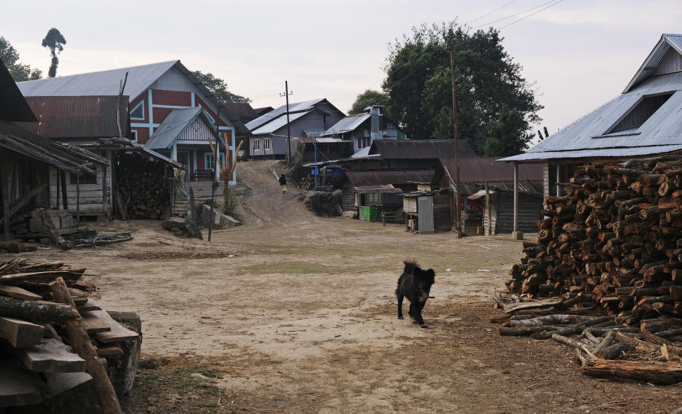 A dog walks in a deserted area as most people stay indoors in Shangshak village, in the northeastern state of Manipur, India, Sunday, March 22, 2020. India is observing a 14-hour "people's curfew" called by Prime Minister Narendra Modi in order to stem the rising coronavirus caseload in the country of 1.3 billion. For most people, the new coronavirus causes only mild or moderate symptoms. For some it can cause more severe illness. (AP Photo/Yirmiyan Arthur)