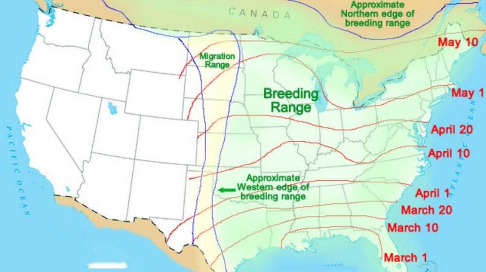 This migration map shows when hummingbirds begin and end their springtime migration. From start to finish, it takes about two months for these little creatures to get where they need to be before summer.