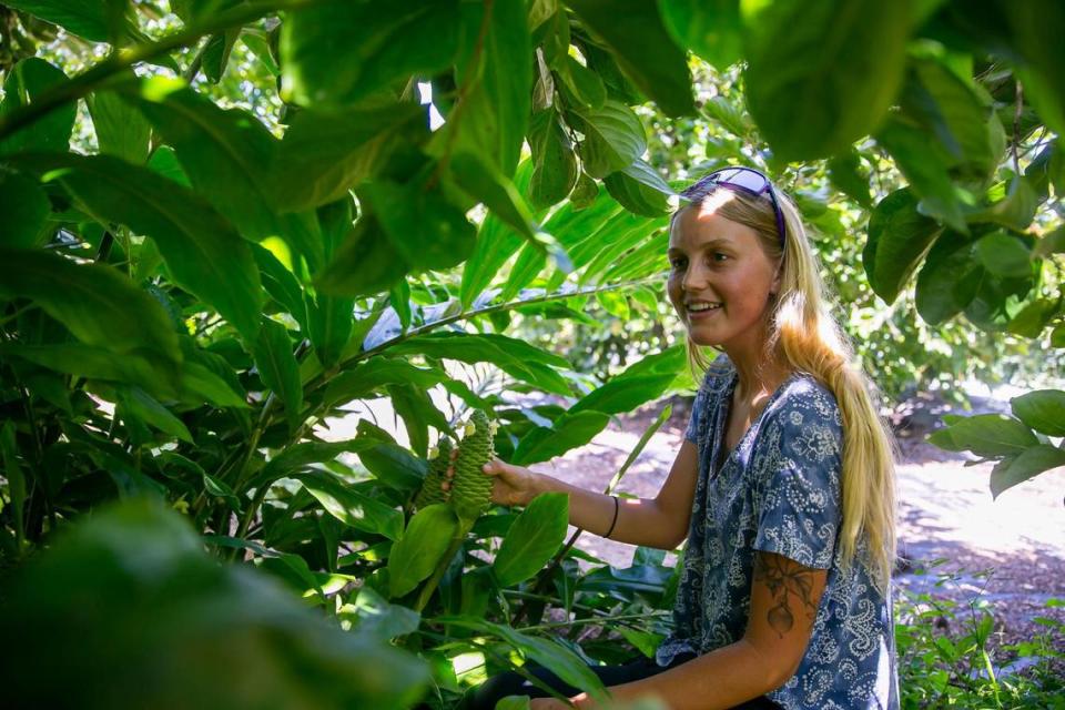 Edelle Schlegel, de 25 años, cofundadora de Miami Fruit, sostiene un awapuhi en su granja de Homestead.