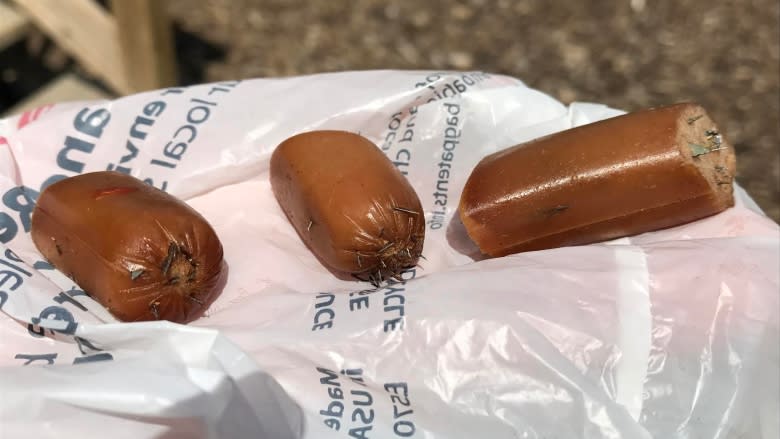 Regina pet owner discovers hot dogs stuffed with broken razor shards