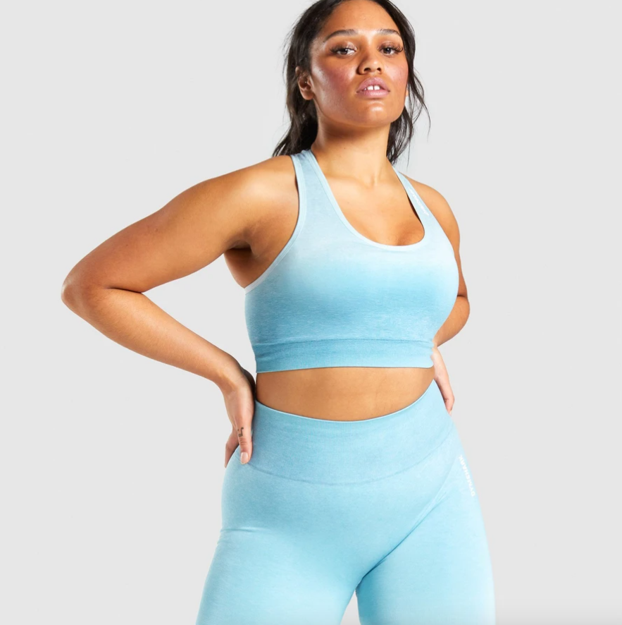  Gymshark  Ombre seamless