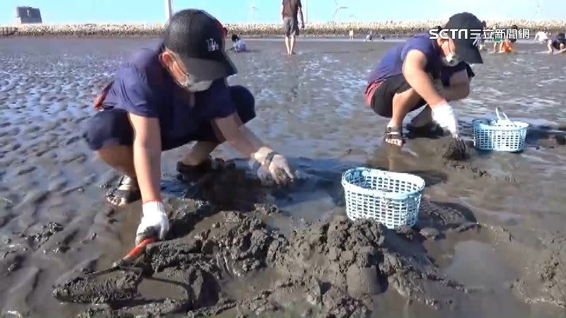 民眾在泥沙中尋找蛤蜊。