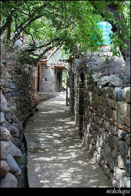 Travel Ladakh Nubra Valley Turtuk