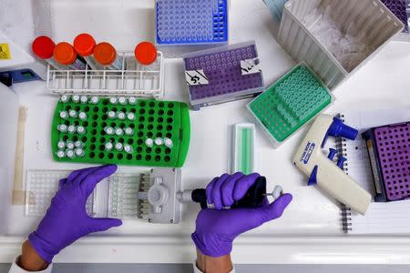 A scientist prepares protein samples for analysis in a lab at the Institute of Cancer Research in Sutton, Britain July 15, 2013. REUTERS/Stefan Wermuth