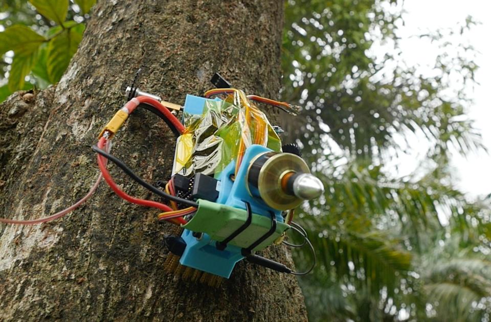 Michael Candy's robot scales a tree. (Photo: Tristan Copley-Smith)