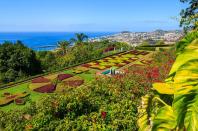 <p>Escape to Portugal's underrated island Madeira and you'll be treated to exotic scenery and some of the most impressive gardens in all of Europe. The Atlantic island hosts the Madeira Flower Festival each spring, with floral parades and floats making their way through the streets of the capital, Funchal.</p><p>In April 2021, you can explore the island's delights with Gardeners' World star Adam Frost as he joins this trip of a lifetime. There'll be plenty of time to ask Adam your gardening questions, plus visits to Quinta do Palheiro, the Monte Palace Tropical Garden and the Jardin do Largo.</p><p><a class="link " href="https://www.primaholidays.co.uk/tours/madeira-gardens-tour-adam-frost" rel="nofollow noopener" target="_blank" data-ylk="slk:FIND OUT MORE;elm:context_link;itc:0;sec:content-canvas">FIND OUT MORE</a></p>