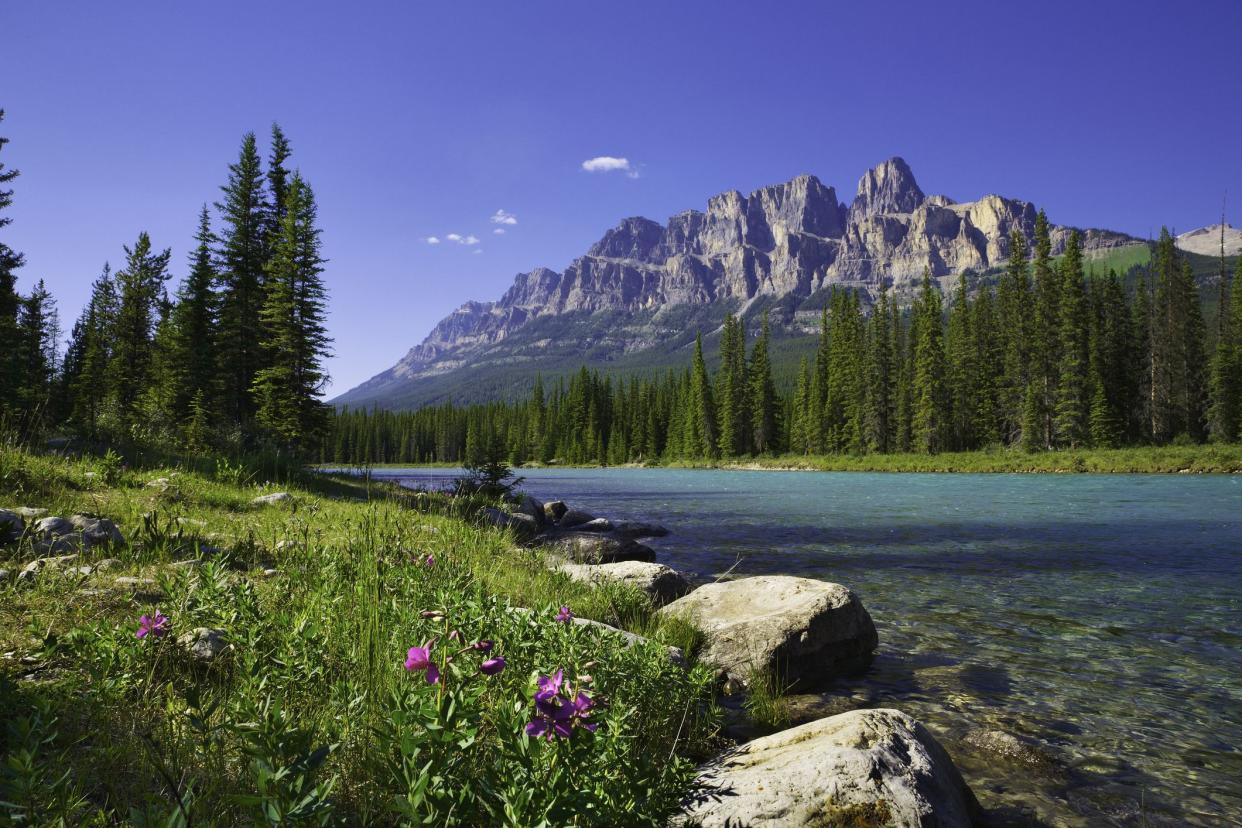 Banff National Park, featuring Castle Mountain and Bow River.