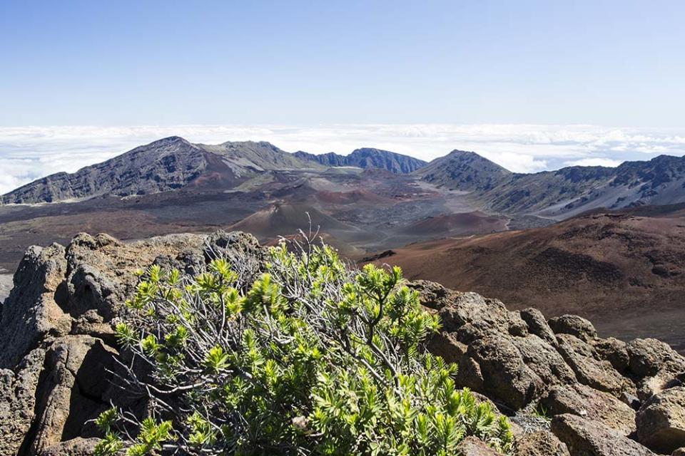 茂納洛亞火山（Image Source : Getty Creative/iStockphoto）