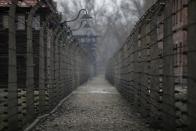 76th Auschwitz liberation commemoration held virtually amidst COVID pandemic