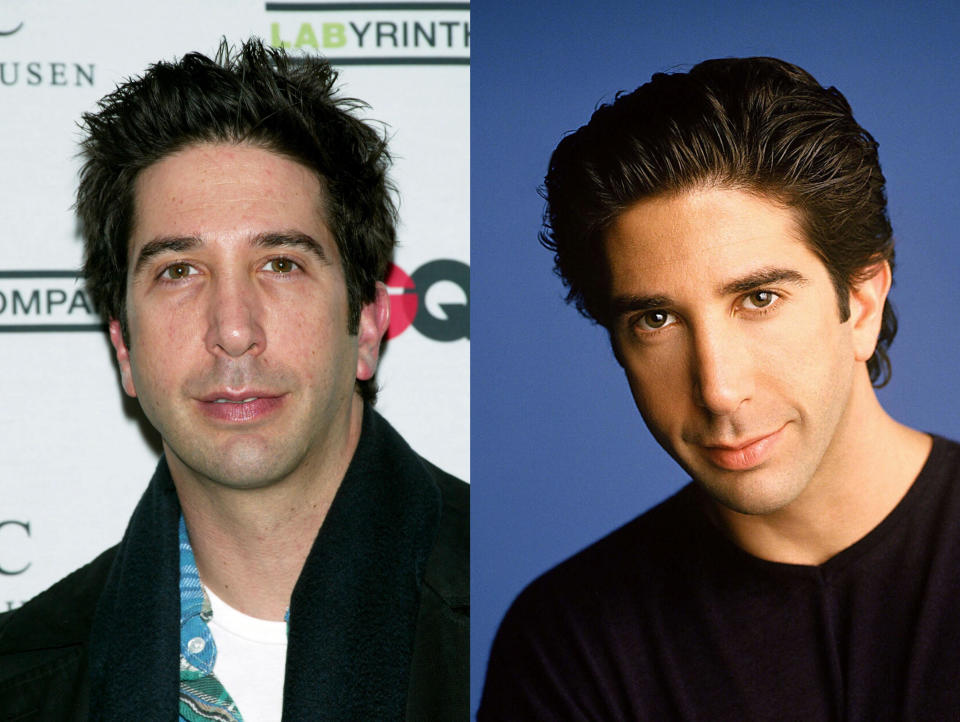 <p>…David Schwimmer (Ross)… </p>