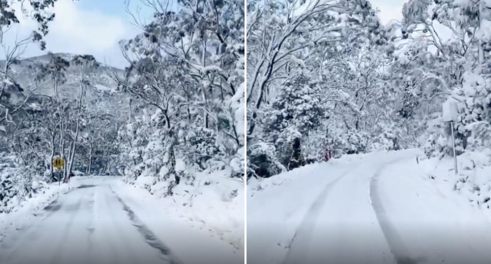Tasmania’s Mount Field National Park covered in  snow.