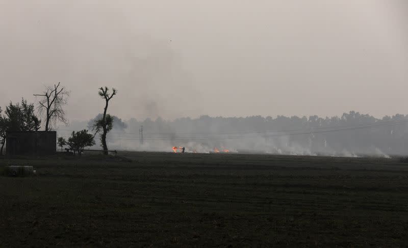 A farmer burns the stubble in a crop field in a village in Karnal district in the northern state of Haryana