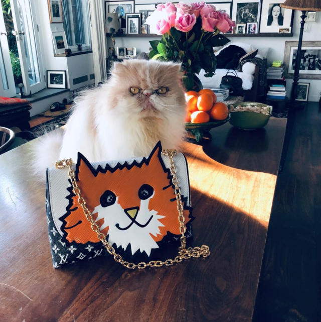 Louis Vuitton Orange Cat Bag