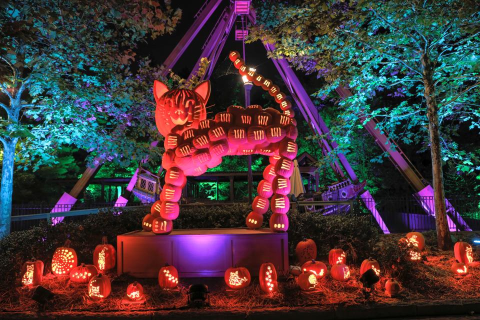 More than 10,000 pumpkins (both real and artificial) add splashes of color during Craft Days and Pumpkin Nights at Silver Dollar City's annual Harvest Festival.