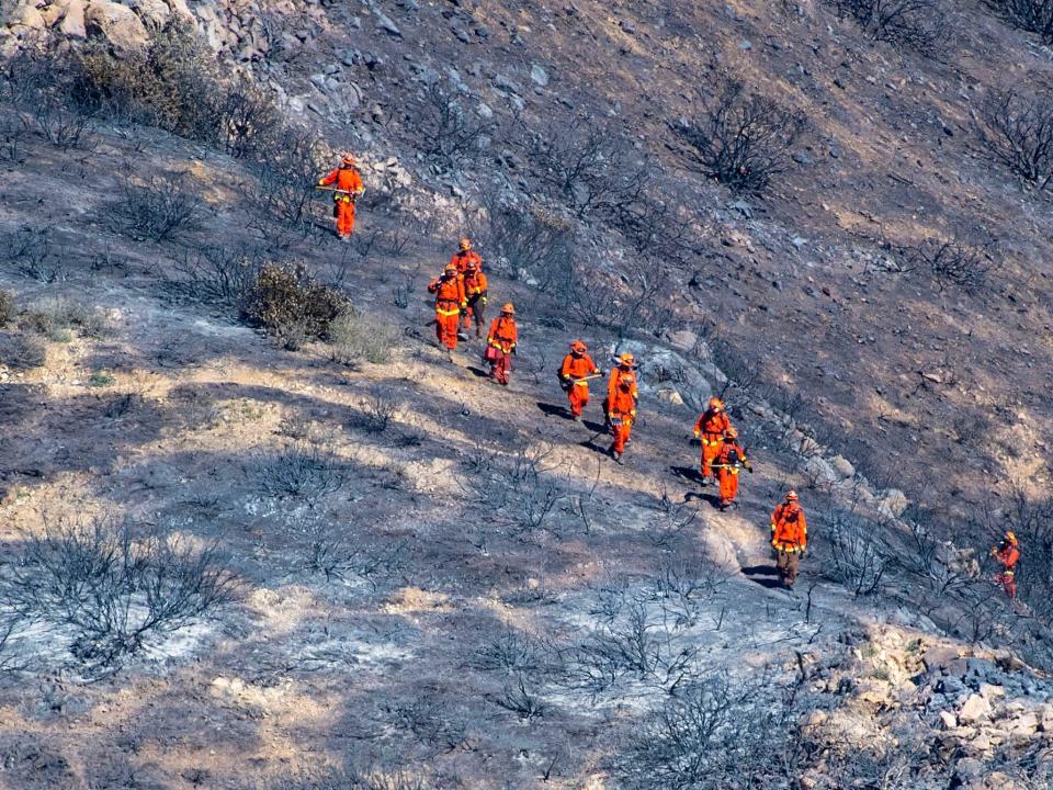 Firefighters walk across charred ground.