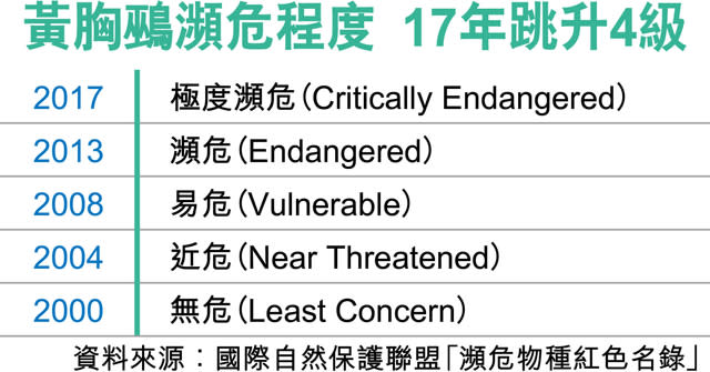 禾花雀跌9成 極度瀕危恐滅絕