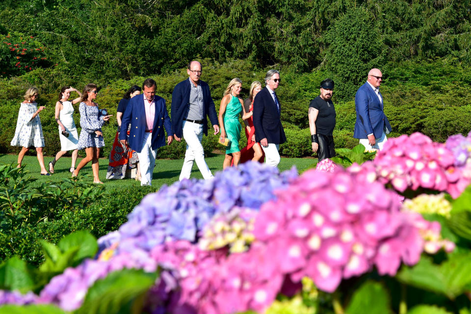 Hydrangeas and guests