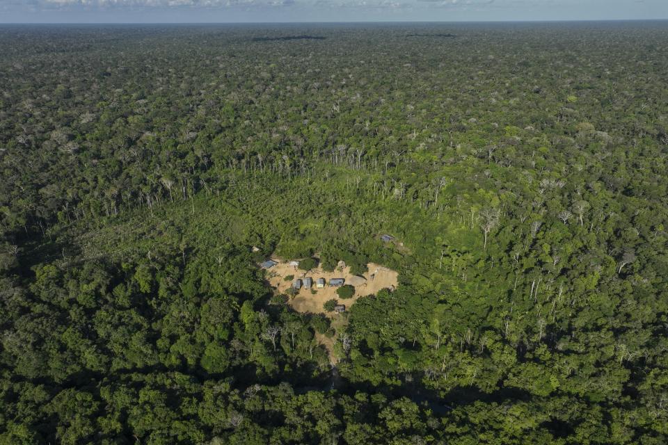 Trees surround Juma Indigenous land, where three sisters lead and manage the territory after the death of their father, near Canutama, Amazonas state, Brazil, Saturday, July 8, 2023. (AP Photo/Andre Penner)
