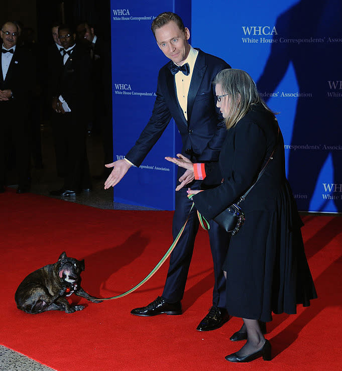 Even handsome Hiddleston knew he was second fiddle to Gary, making sure photographers knew the canine should be the real focus of their shots. From the dinner, the actress tweeted, “Not every republican is a Dog,” along with Gary’s “service dog” credentials. Fisher also posted photos of Gary sightseeing in Washington, D.C., because, let’s face it, every dog should see the Lincoln Memorial at least once in its life. (Photo: Getty Images)