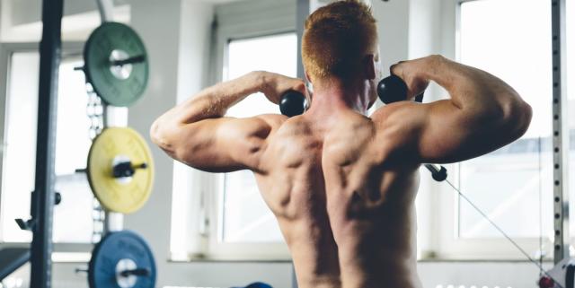 8 Exercises to Build a Wider Back + Sample Workout