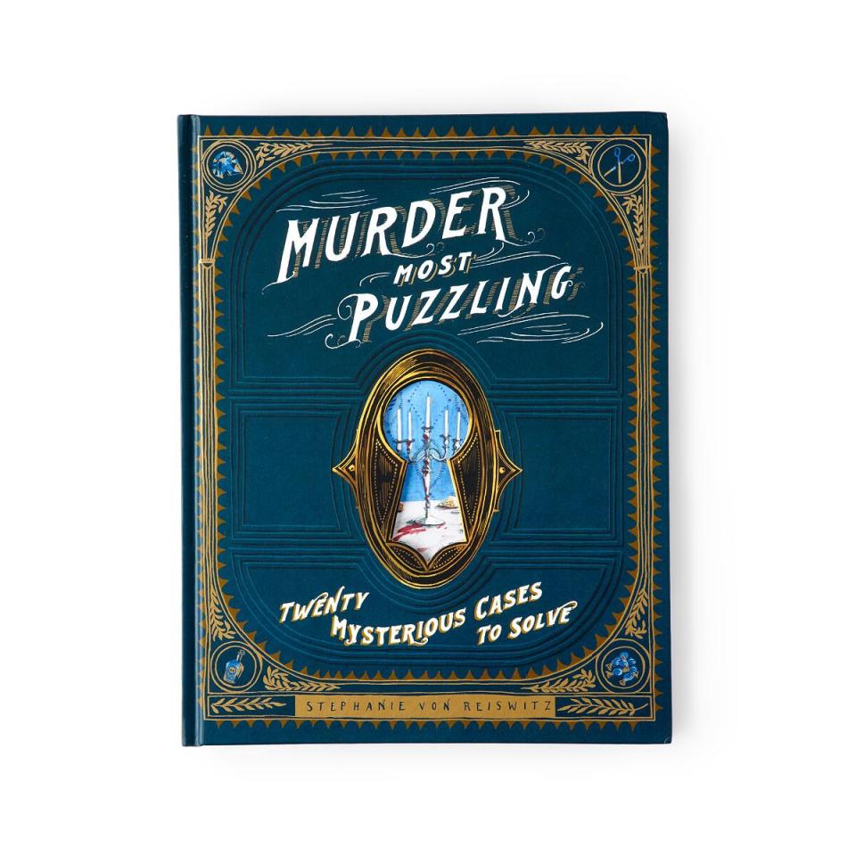 12) Murder Mystery Puzzle Book