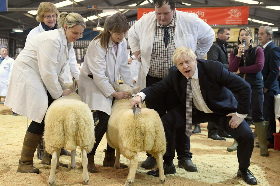 Prime Minister Boris Johnson poses with sheep as he visits the Royal Welsh Showground, in Llanelwedd, Builth Wells whilst on the General Election campaign trail.