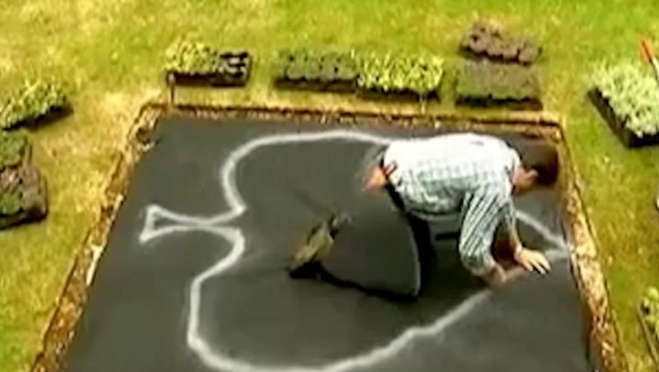 BBC presenter Alan Titchmarsh’s jeans were blurred out when broadcast in North Korea (BBC, KCTV)